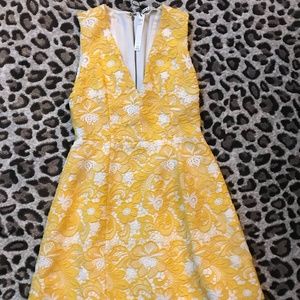 Alice and Olivia dress